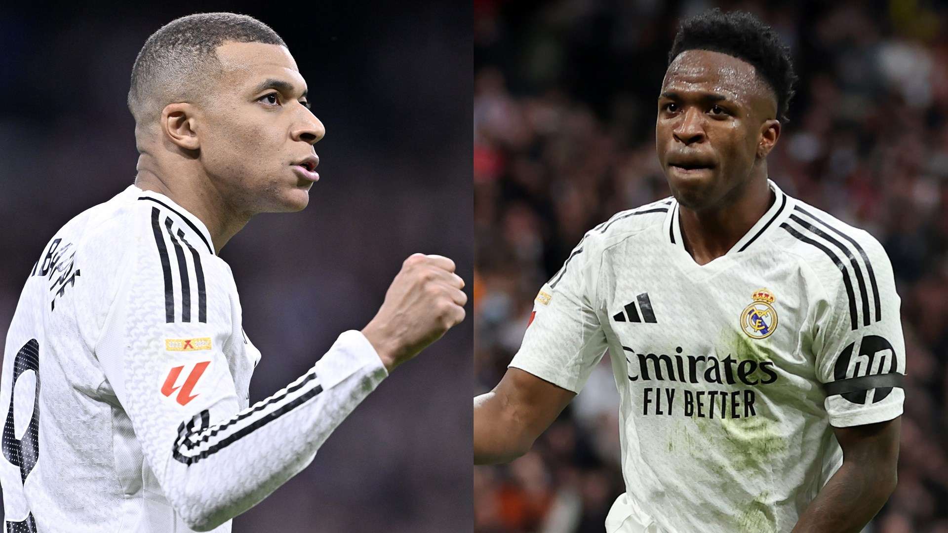 球迷热议的 球迷热议的